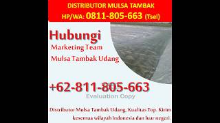 CS: 0811-805-663 (Tsel), Distributor Plastik Mulsa Tambak Lampung,