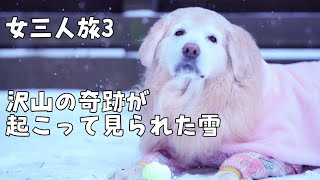 【犬と私の女三人旅3】沢山の奇跡が起こって見れた素晴らしい雪