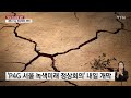 2050년 탄소중립 실현...내일 p4g 정상회의 개막 ytn