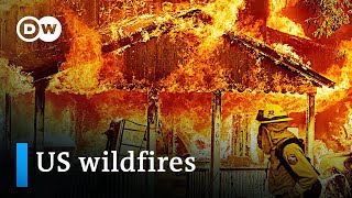 US heat wave: Wildfire season could be the most destructive yet | DW News