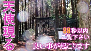 ⚠️衝撃※天使様の姿を見れたらとんでもない強運です。次々と良い事が起こり始めます。もし逃したら二度とありません｜宮崎高千穂遠隔参拝136