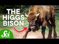 5 Mysteries Science Created and Solved
