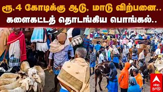 Dharmapuri Wednesday market | ரூ.4 கோடிக்கு ஆடு, மாடு விற்பனை.. களைகட்டத் தொடங்கிய பொங்கல்..