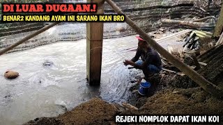 ASTAGA.! MANCING DI BAWAH KANDANG AYAM TERNYATA BANYAK IKANNYA || REJEKI NOMPLOK DAPAT IKAN KOI