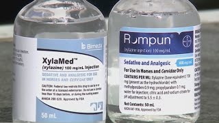 Doctor warns ‘tranq’ animal sedative is worsening opioid overdoses  |  NewsNation Prime