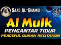 Surat Al Mulk Sheikh Saad Al-Ghamdi | Pengantar Tidur, Bacaan Al Quran Merdu Penenang Hati & Pikiran