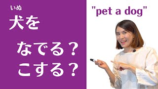 JLPT N3 Vocabulary Quiz「かわいい犬ですね。(なでて/こすって)もいいですか」｜Quick Japanese Lesson