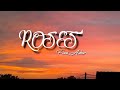 Roses - Finn Askew Lyrics