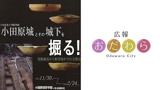 2024年12月23日から12月29日放送分「歴史研究会「荻窪の遺跡を歩こう」」「小田原城天守閣特別展 小田原城とその城下を掘る！」