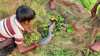 Amazing net fishing video - Best traditional net fishing video by village people (Part-22)