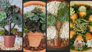 26 DIY GARDEN IDEAS #588 #suculentas #suculentasecactos #plantdecor #plantdecoration #gardeningtips