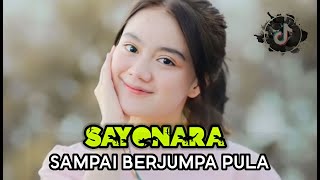 DJ SAYONARA SAMPAI BERJUMPA PULA [ GHOPAL USMAN // NEW 2023