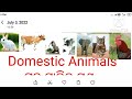 how to learn.. domestic animals name... ଗୃହ ପାଳିତ ପଶୁ। odia and english meadiam..best teaching