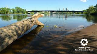 Minneapolis Parks Sustainability - Water