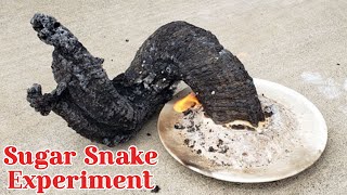 Cool Science black snake experiment | science experiment with sugar | baking soda test | black cobra