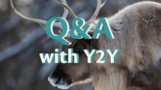 Y2Y Q\u0026A: Protecting caribou in the Peace