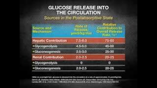 Scientific Insights Into the Kidneys and Glucose Homeostasis