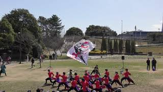 4K　信州大学YOSAKOI祭りサークル和っしよい　犬山踊芸祭～絆プロジェクト～能登半島地震復興イベント　2024年3月３日　木曽三川公園　引き画像　#信州大学YOSAKOI祭りサークル和っしよい　