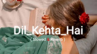 Dil Kehta Hai | [ Slowed & Reverb ]  Akele Hum Akele Tum | Kumar Sanu & Alka Yagnik | Aamir Khan