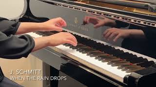 J. Schmitt - When the Rain Drops　／　シュミット：雨あがり