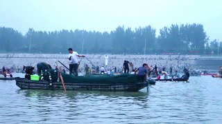 There was a fishing feast on the water at Dazhaguan.