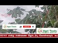 உயரமான மரங்களை கவாத்து செய்யும் கருவி tool for guarding tall trees tree pruning long lopper