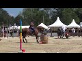 wawe weltmeisterschaft working equitation 2018 trail carène riedo on quidico