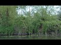 11th may 2023 westbere lake trip video 2 of 3