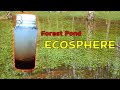 Creating a Woodland Pond Ecosphere