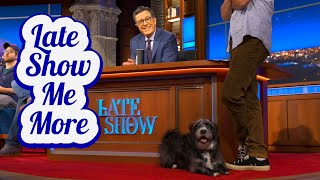 Late Show Me More: You Did It Again, Rocco!
