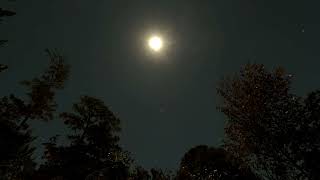 November 04, 2025; Waxing Crescent; Moon; Night timelapse; Linear