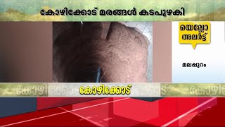 വടക്കന്‍ കേരളത്തില്‍ കനത്ത മഴയില്‍ വ്യാപക നാശനഷ്ടം  | Mathrubhumi News