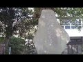 普蔵山 高源寺 取手市 いばらき探検隊