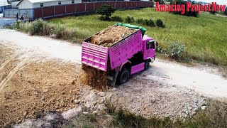 Start New Project Operator Bulldozer Land Filling into Mini Pond 5TonTruck Unloading Soil Pushing .