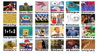 Every Logical Fallacy Explained Using Only memes