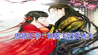 【聽書】《傲娇王爷：神医王妃要休夫》第241集——第 255集 | 有聲小説 | 听书 | 有声小说