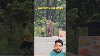 Elephant attack, kabhi nahin Jana Chahiye, elephant Ke paas #Elephant