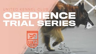 Let's Get Started! Changes to UKC Obedience | United Kennel Club