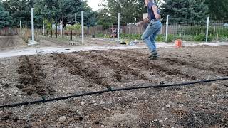 20200523 Planting Pumpkins