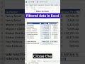 How to sum filtered data in Excel