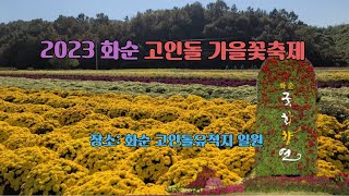 2023 화순 고인돌 가을꽃축제