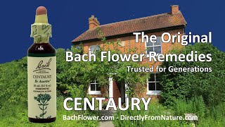 CENTAURY - Bach Flower Remedy.