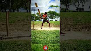 গ্রামের মাঠে ক্রিকেট 🏏#shorts #youtubeshorts #ক্রিকেট_বিশ্বকাপ