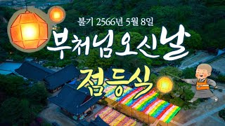 부처님 오신 날의 화룡정점 - [불기2566년 5월 8일. 초파일 점등식]