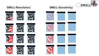 Monell Virtual Seminar with Andreas Keller