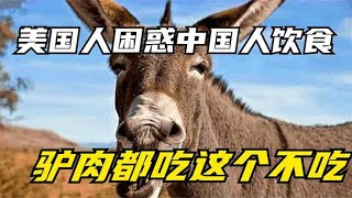 美国人特别疑惑：为啥中国人连驴肉都能吃？却唯独不吃这种肉