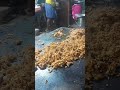 pattukottai kothuparotta trending youtubeshorts streetfood