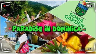 EXPLORING DOMINICA 2023🇩🇲: A TRIP TO SOMA GARDEN🪴🍊||VLOG|| #adventure #dominica #caribbean