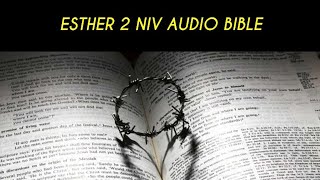 ESTHER 2 NIV AUDIO BIBLE