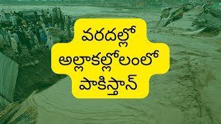 పొరుగు దేశం పాకిస్థాన్ వరదల ముందు నిస్సహాయంగా కనిపిస్తోంది   floods in pakistan 2022,